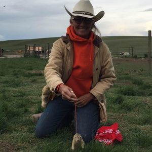 Meet your Posher, Jane